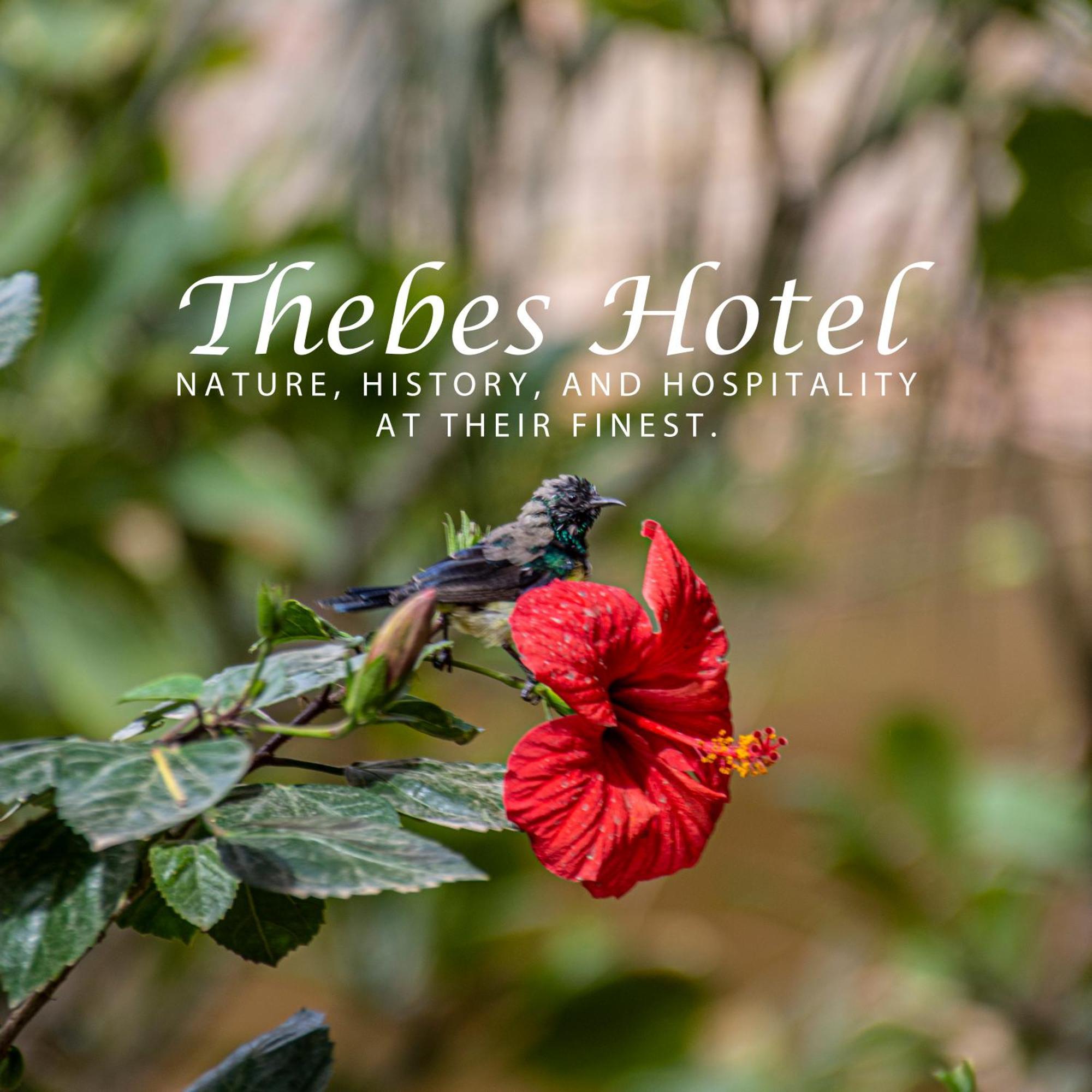 Thebes Hotel Luksor Exterior foto