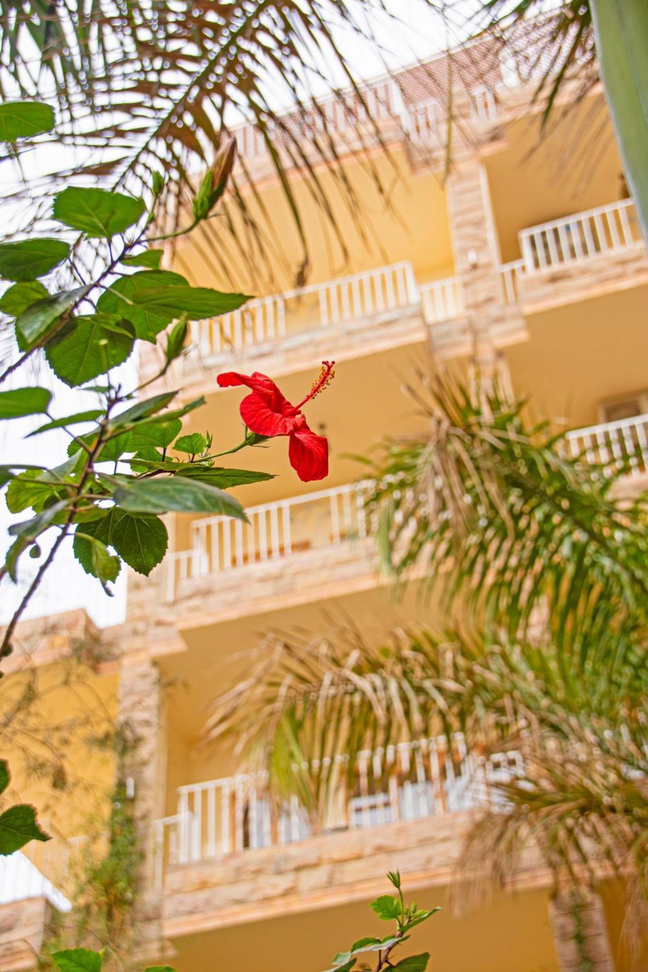 Thebes Hotel Luksor Exterior foto